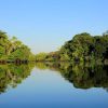 Naturaleza